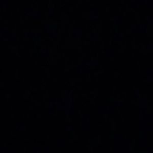 Meet your Posher, Adrian